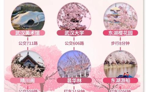 【荆楚锋评】“樱”你而来的武汉 如何化“流量”为“留量”？
