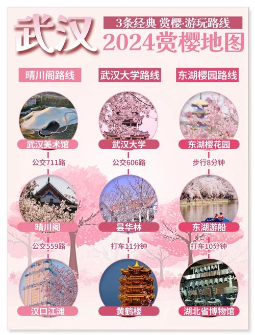 樱你而来的武汉 如何化流量为留量？