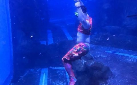 对话爆火东北海洋馆“胖头鱼”刘国强：临时顶班成男版美人鱼，想给观众带来更多快乐