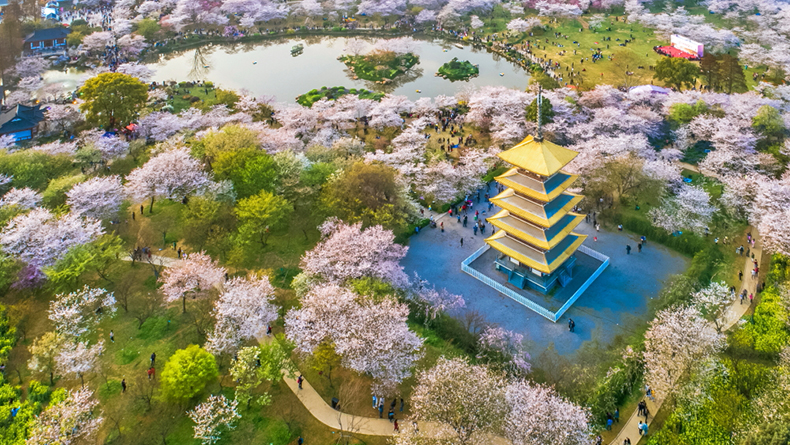 东湖春景