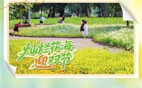 灿烂花海 迎双节