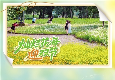 灿烂花海 迎双节