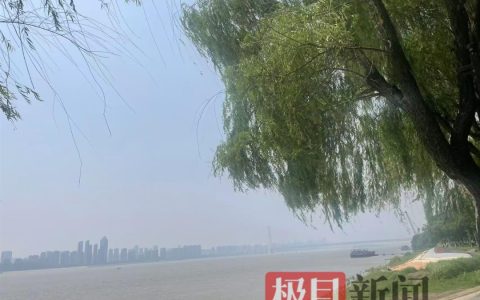 今天早点回家！中雨大雨暴雨+雷电今起上线湖北！