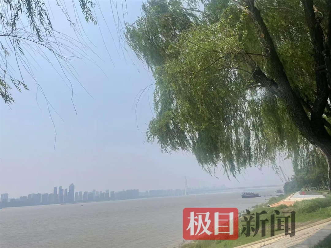 今天早点回家！中雨大雨暴雨+雷电今起上线湖北！