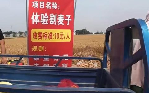 河南小伙麦田摆摊体验割麦10元一次，一上午来了不到10个人没回本