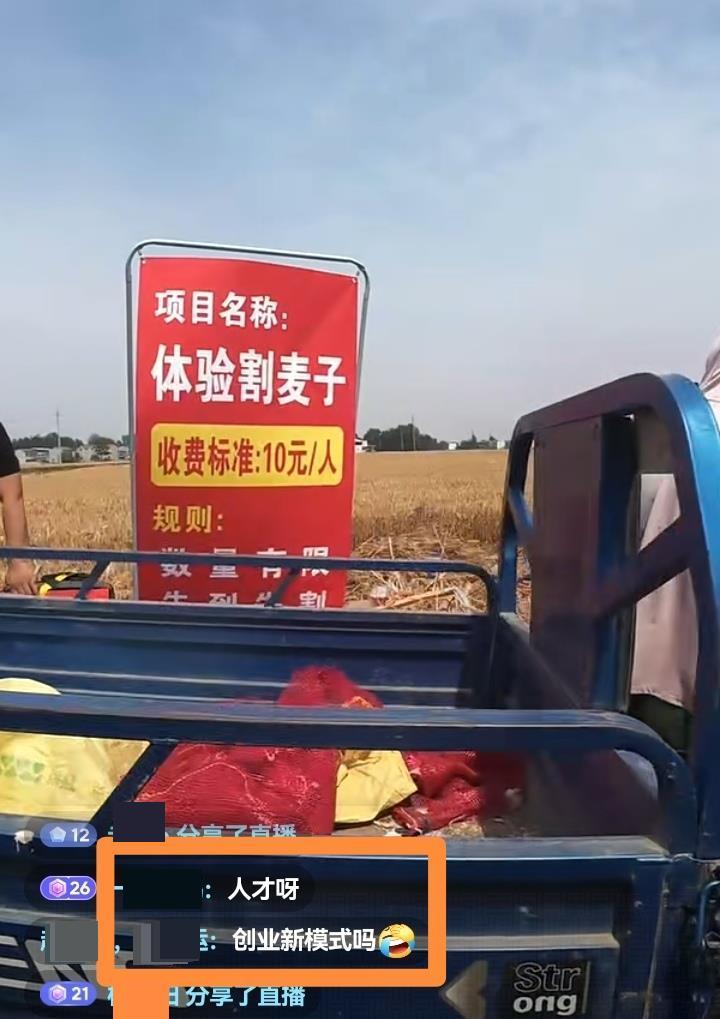 河南小伙麦田摆摊体验割麦10元一次，一上午来了不到10个人没回本