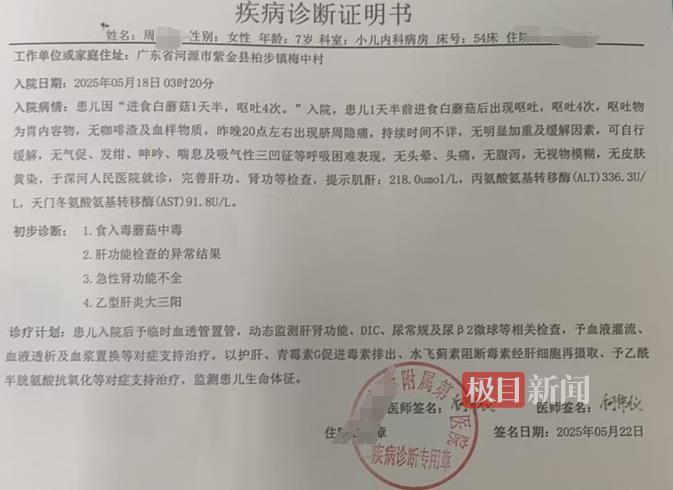 广东河源祖孙四人误食毒蘑菇后中毒，家属：出现肝肾衰竭，仍在住院治疗