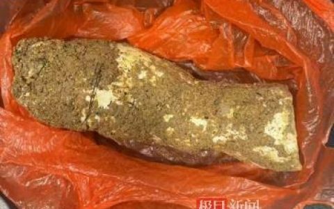 广东河源祖孙四人误食毒蘑菇后中毒，家属：出现肝肾衰竭，仍在住院治疗