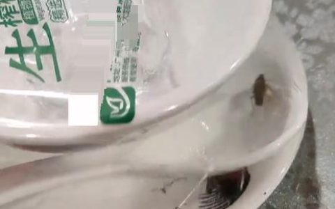 广州一网友称未拆封一次性餐具内有蟑螂乱爬，生产厂家回应