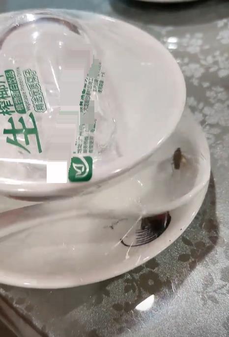 广州一网友称未拆封一次性餐具内有蟑螂乱爬，生产厂家回应