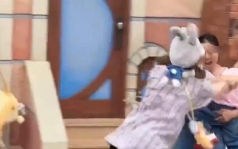 极目锐评丨迪士尼乐园打架事件，对孩子动手不能忍