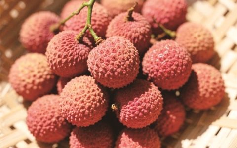 过量食用10斤荔枝，女子持续流鼻血 专家提醒：荔枝虽好吃别贪嘴，当心患上“荔枝病”