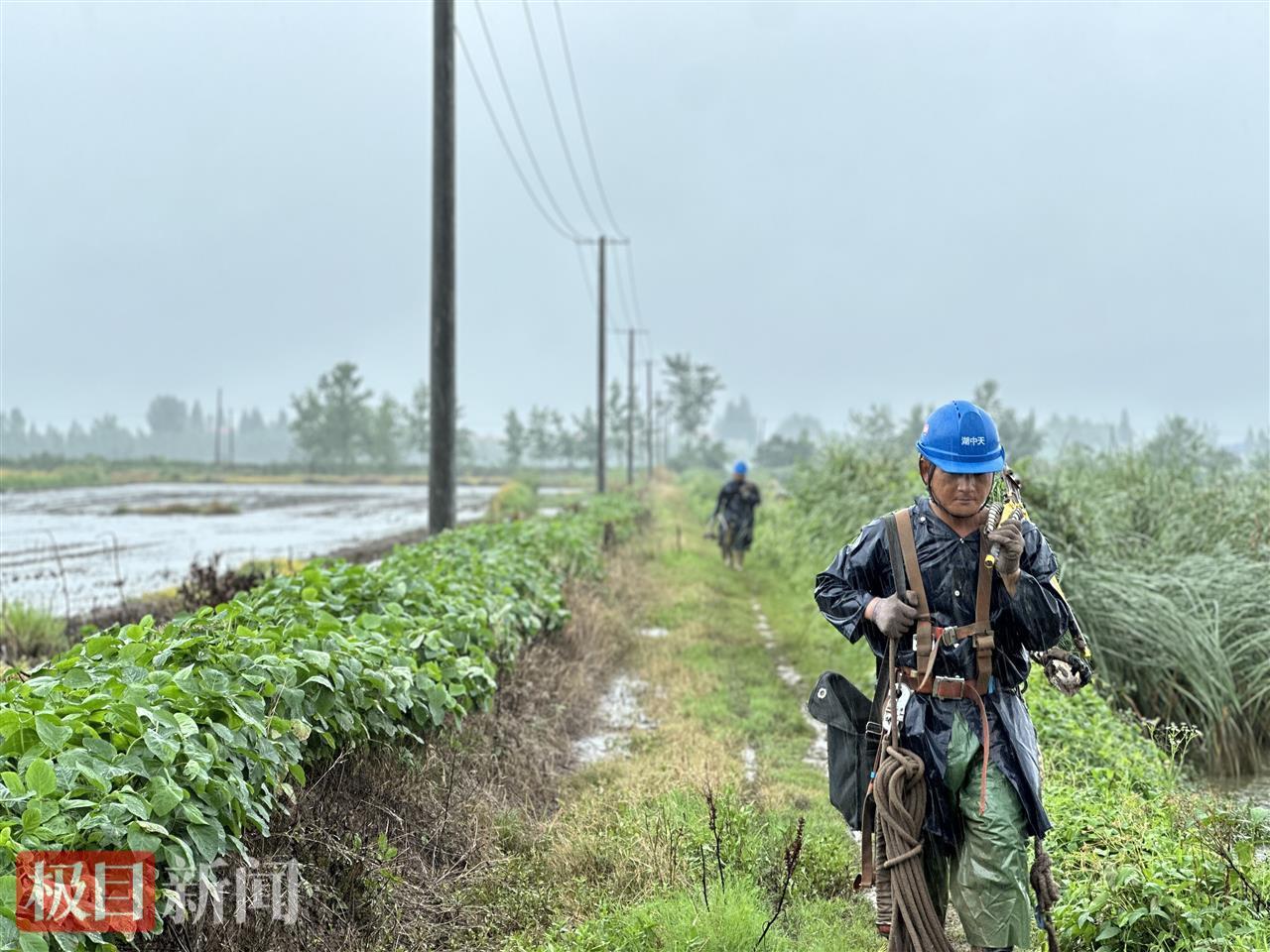 湖北石首2000亩虾稻田渍水，电力工人滂沱大雨中施工排水