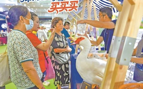 周末去农博会 买买买