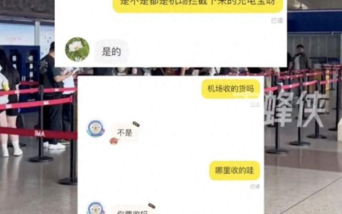 极目锐评丨大量机场拦截充电宝疑似流入二手平台？绝不能容许如此“趁乱发财”