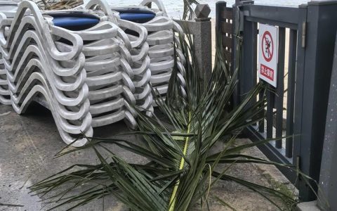 极目新闻记者直击台风“蝴蝶”登陆时的三亚：海边风太大感觉快被吹走，不少树干树枝被吹断