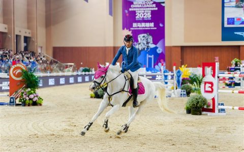 顶级国际马术赛事首次落户武汉，547对人马“飞跃”英雄城