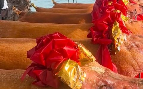 南宁龙舟公开赛奖励选手戴大红花的烧猪，选手：前三名实现烧猪自由