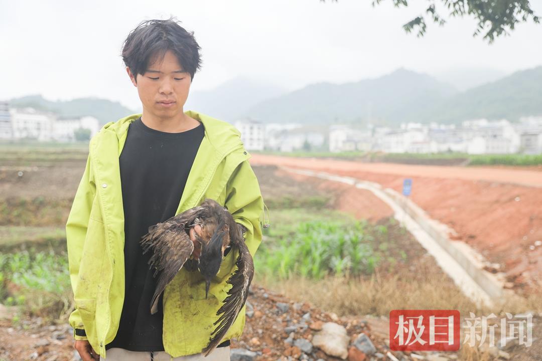 竹山小伙荆棘丛中救下“神秘国宝”
