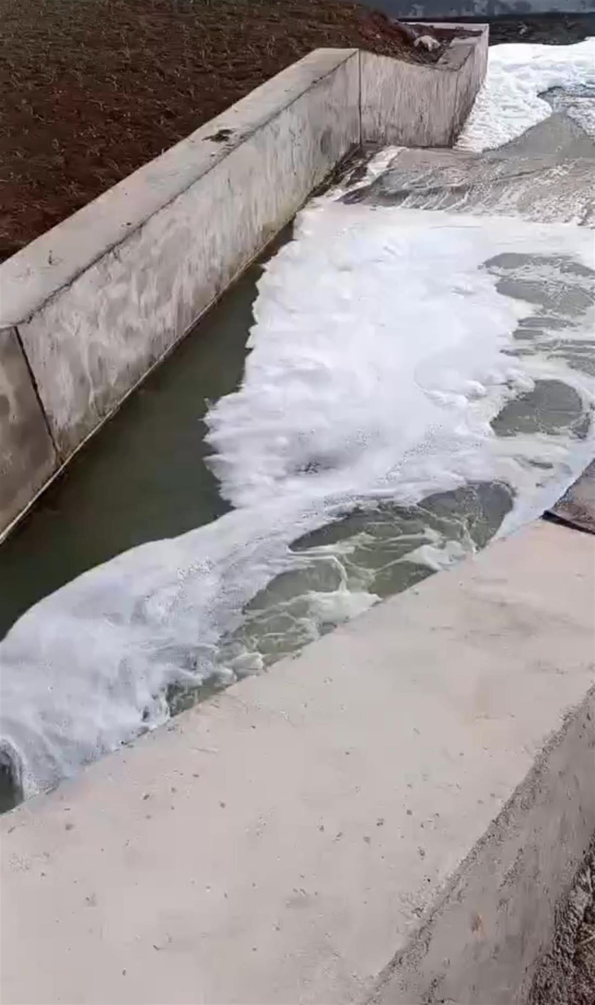 河北秦皇岛一河水变色有死鱼漂浮，村民称空气中有臭鸡蛋味，环保部门称正在处置