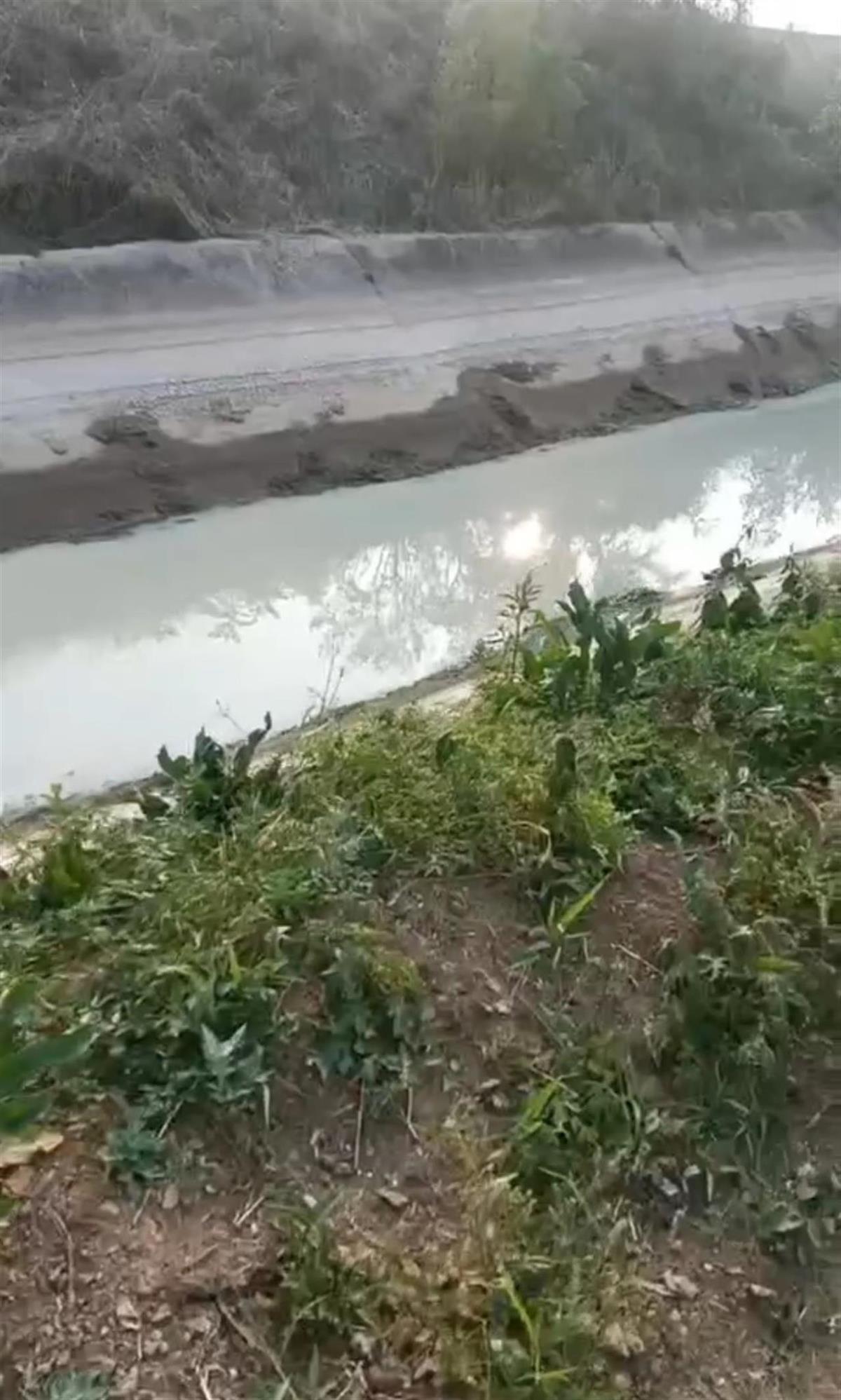 河北秦皇岛一河水变色有死鱼漂浮，村民称空气中有臭鸡蛋味，环保部门称正在处置