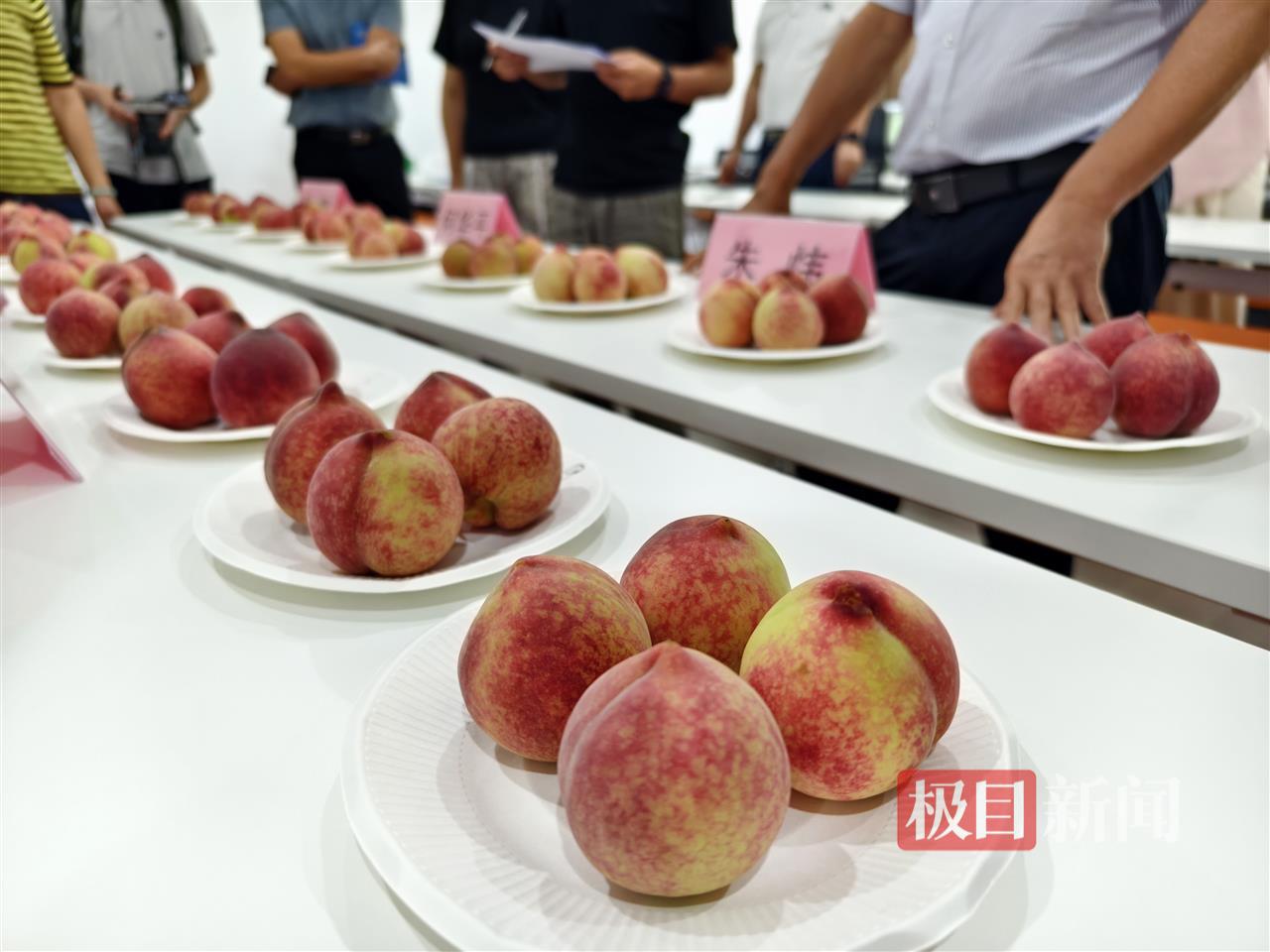 “教科书级”桃子出圈！广水胭脂红年产值4.5亿元，线上卖爆