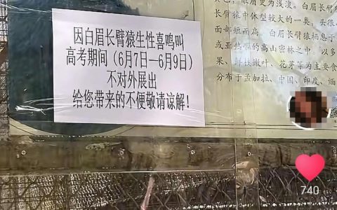辽宁一动物园白眉长臂猿猴高考期间不对外展出，园方：它们一高兴就喜欢鸣叫，怕影响考试