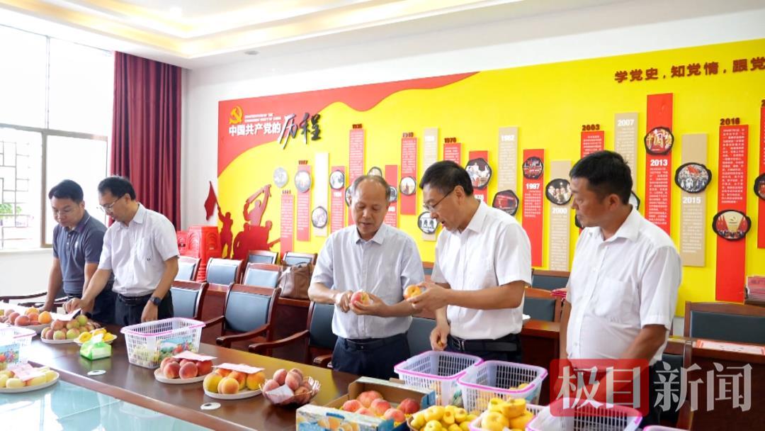 “桃花源”里赛桃，孝昌品桃会决出“桃王”