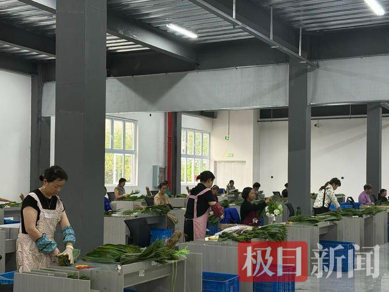 小粽叶变身“黄金叶”，撬动2200万大产业，老人日赚超百元