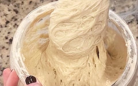 万物皆可宠？00后流行养“宠物酵母” 专家：属低成本解压方式，不应过度依赖