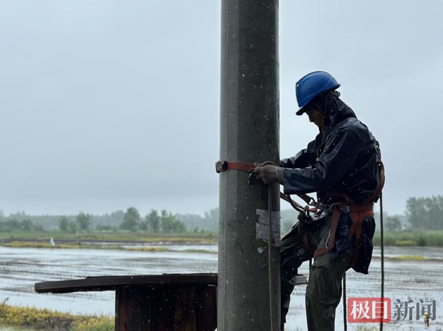 湖北石首2000亩虾稻田渍水，电力工人滂沱大雨中施工排水