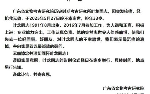 广东省考古研究院一研究员因病离世，年仅33岁，曾参与考古发掘