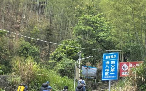 福建8岁男童失踪近一个月，网友喊他回家过“六一”