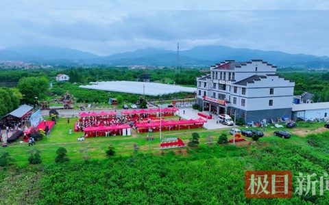 甜蜜经济升级，孝昌品桃会合作签约1.6亿元