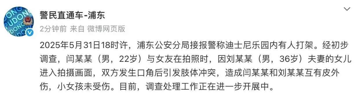 极目锐评丨迪士尼乐园打架事件，对孩子动手不能忍