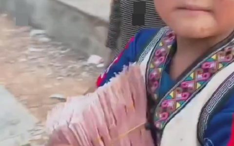 小孩哥淡定抱走斗牛赛十万元奖金，当地：小孩帮大人领奖，养的牛拿了冠军