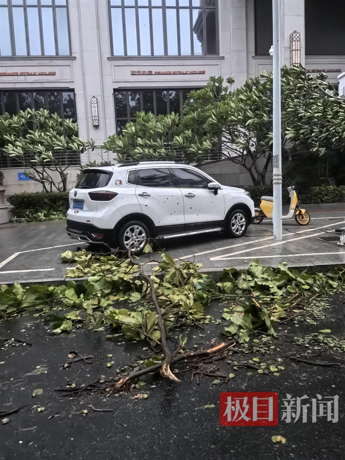 极目新闻记者直击台风“蝴蝶”登陆时的三亚：海边风太大感觉快被吹走，不少树干树枝被吹断