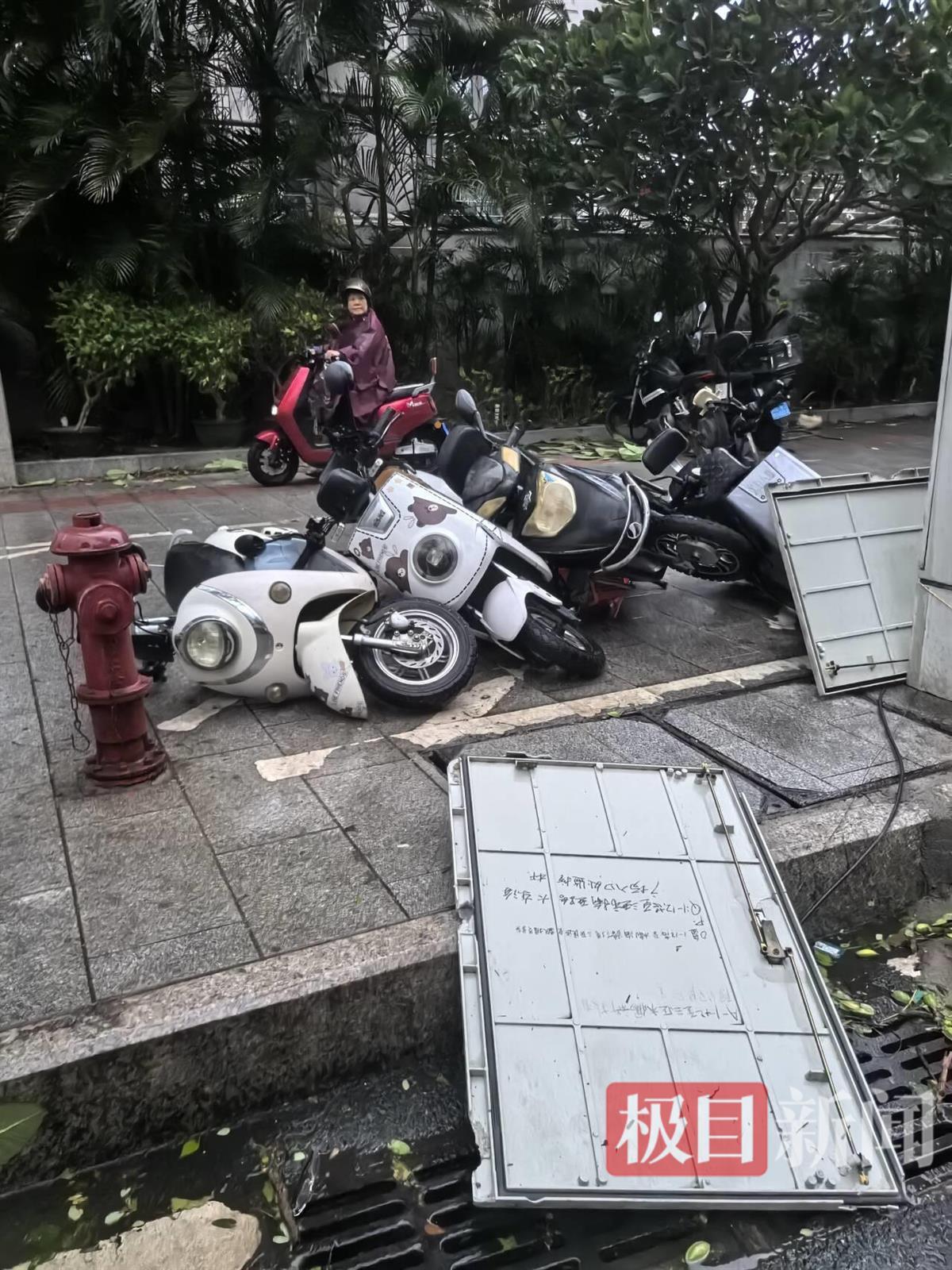 极目新闻记者直击台风“蝴蝶”登陆时的三亚：海边风太大感觉快被吹走，不少树干树枝被吹断