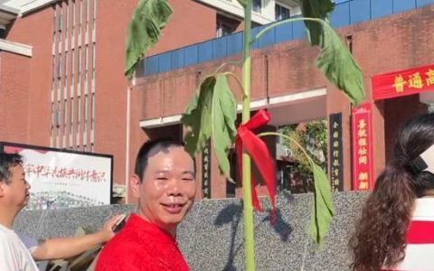 株洲一父亲穿旗袍拿向日葵送考走红：旗袍网上买的，向日葵为高考种的