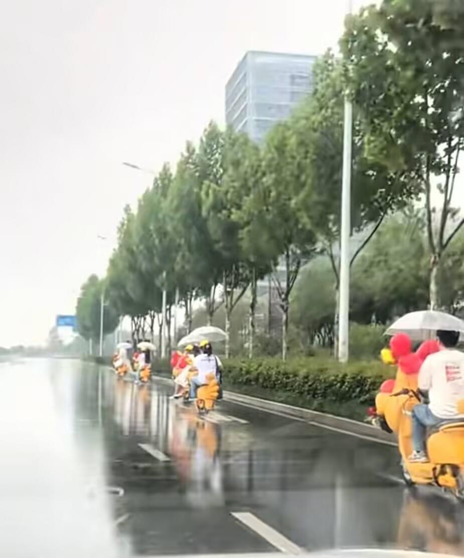 合肥一对新人雨中骑“鸡动车”去结婚，新人：很浪漫，挺有氛围