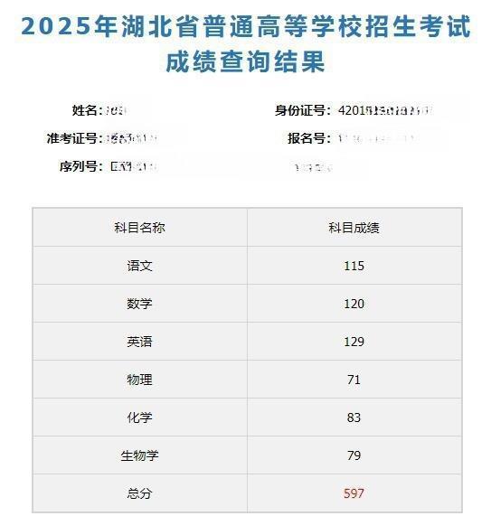 可以查分啦!湖北省2025年高考成绩正式发布