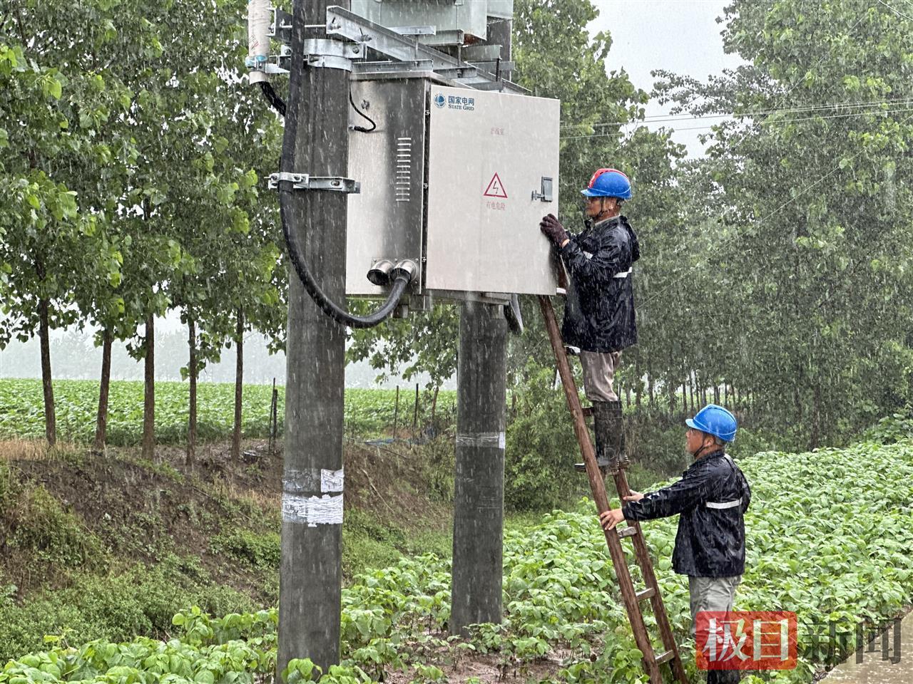 湖北石首2000亩虾稻田渍水，电力工人滂沱大雨中施工排水