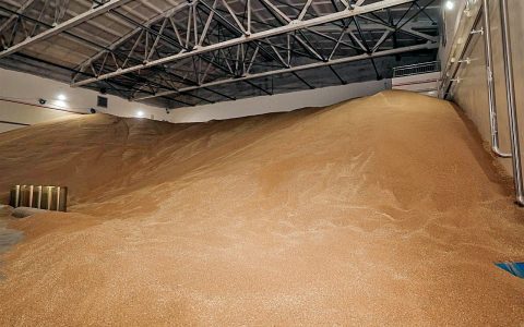 库容22万吨 武汉最大储备粮库竣工投产