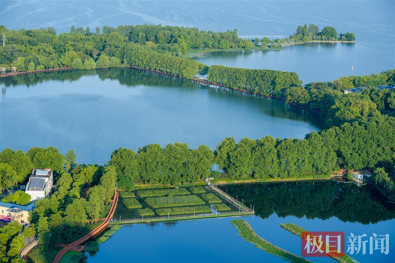 雨后东湖碧空如洗，湛蓝湖水与绿树相映成趣