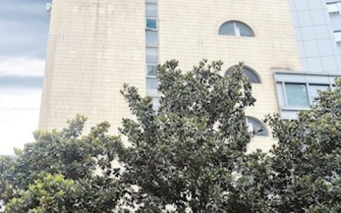 数字化转型唤醒城市记忆 武汉180万余件城建档案“活”起来