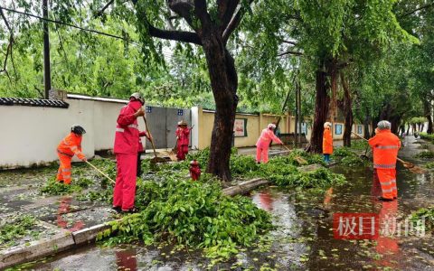 直击台风“蝴蝶”：三亚倒伏树木1800余株，有车辆被砸