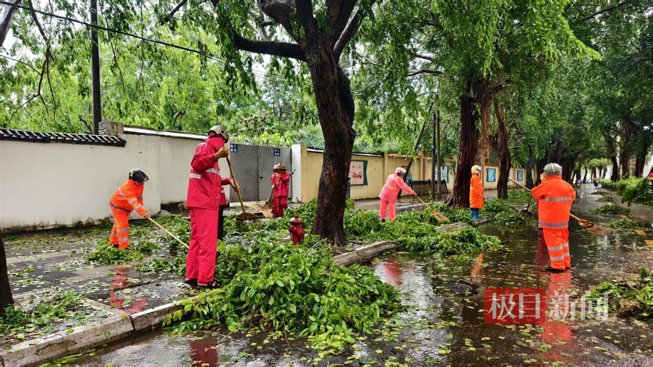 直击台风“蝴蝶”:三亚倒伏树木1800余株,有车辆被砸