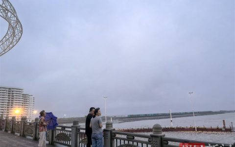 海啸波和台风共同影响上海，有市民赶到海边看“海啸”但失望而归