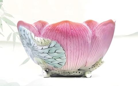 避暑博物馆——荷风莲韵 清凉“一夏”