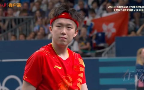 极目锐评丨“饭圈化”让运动员越来越累，王楚钦说得对！